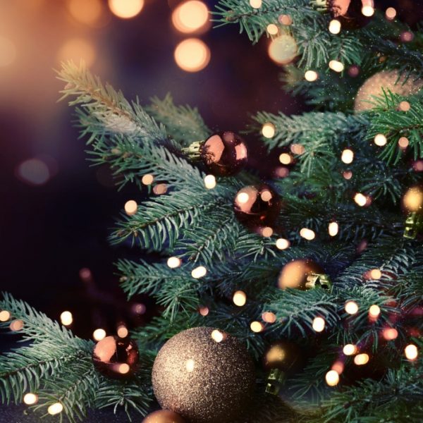 Χριστουγεννιάτικα δέντρα: Πόσο κοστίζουν φέτος; Πού κυμαίνονται οι τιμές