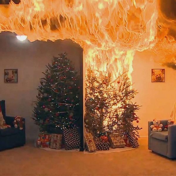 Χριστούγεννα 2022: Μας αφορά όλους – Τι πρέπει να κάνετε αν το δέντρο αρπάξει φωτιά