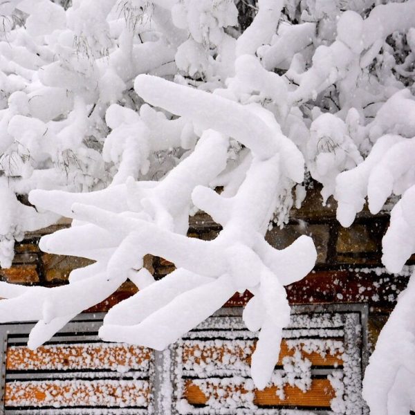 Καιρός: Ανήσυχος ο Σάκης Αρναούτογλου – «Έρχονται χιόνια και ψυχρή κατεβασιά»