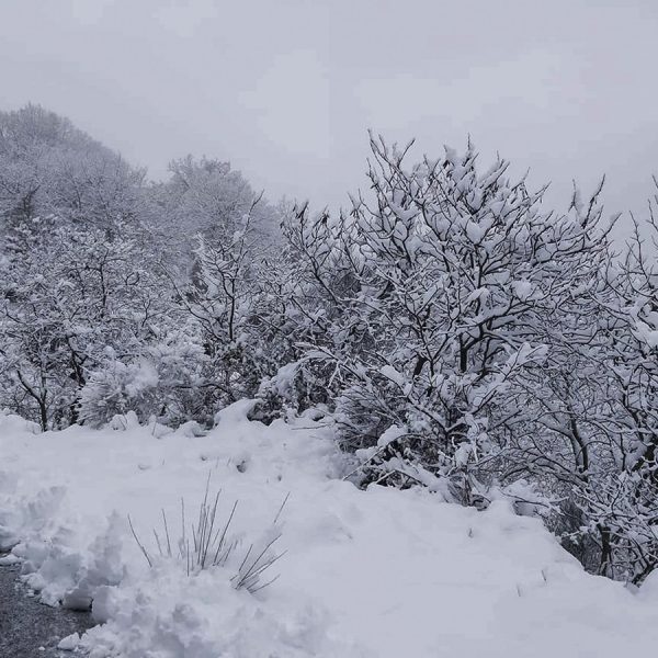 Έρχεται… χιονοπόλεμος: Ξεκινά η κακοκαιρία – Άλλαξε η πρόγνωση