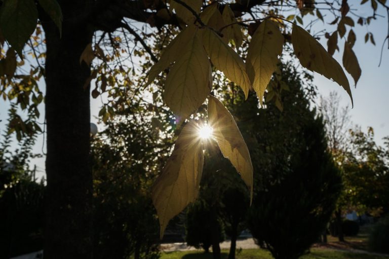 «Άκυρες» οι Αλκυονίδες μέρες 2024 – Πότε είναι τελικά;