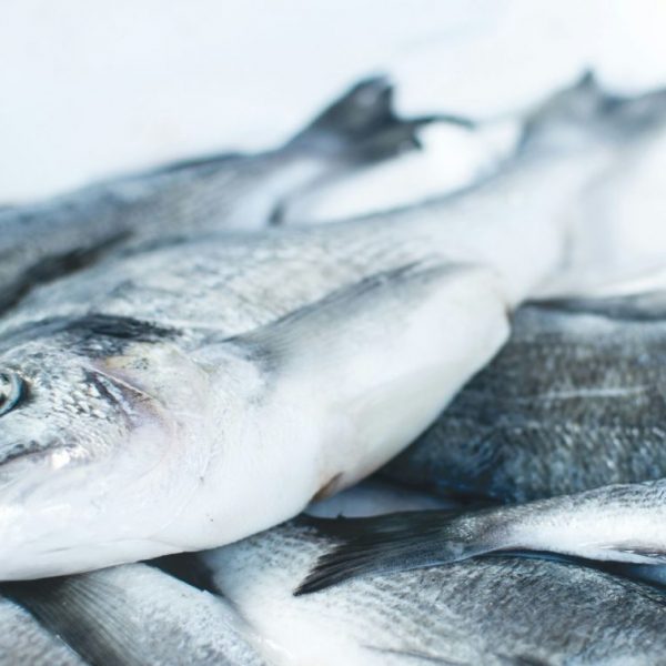 Τρόφιμα: Τα τρία ψάρια που πρέπει να σταματήσετε να τρώτε άμεσα