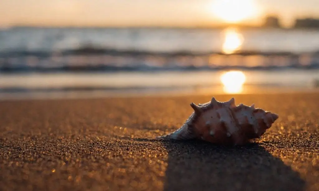 Επίδομα Αδείας 2020: Πότε καταβάλλεται – Τι πρέπει να κάνετε αν αρνηθεί ο εργοδότης