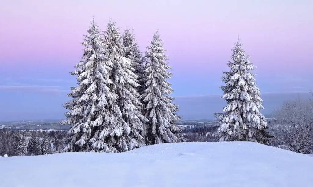 Kαιρός Χριστούγεννα Πρωτοχρονιά 2020: Πώς θα κάνουμε γιορτές φέτος