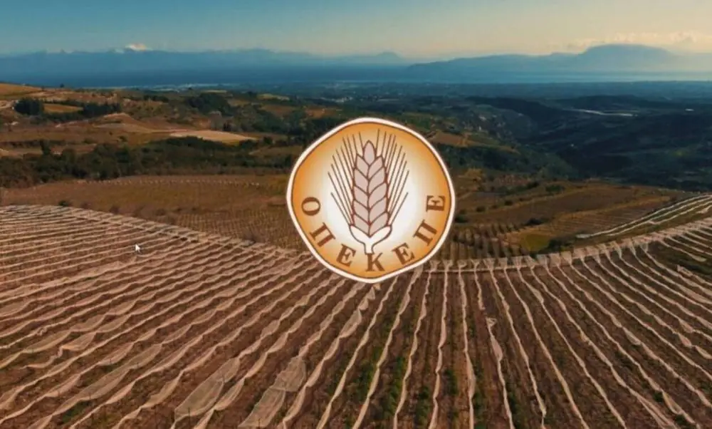 ΟΠΕΚΕΠΕ: Σάλος με την πληρωμή – Η εφάπαξ καταβολή έγινε τέσσερις δόσεις