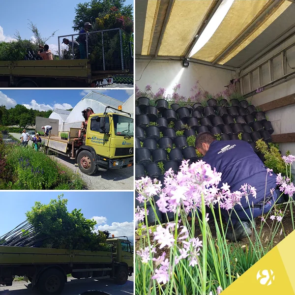 Αυτή η εταιρεία χαρίζει 1,5 εκατ. ευρώ στο χωριό που δραστηριοποιείται 4 Αυτή η εταιρεία χαρίζει 1,5 εκατ. ευρώ στο χωριό που δραστηριοποιείται