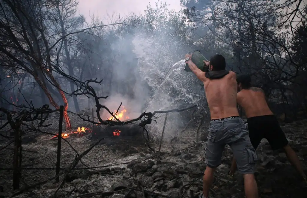 Φωτιές 2021: Αιτήσεις για αποζημιώσεις άμεσα – Πότε θα μπουν τα λεφτά