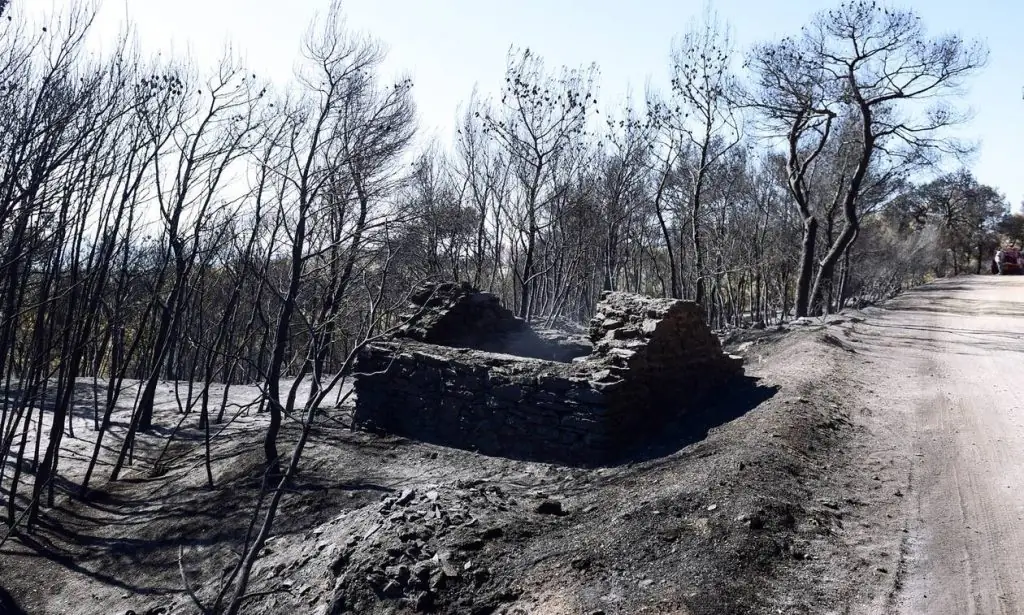 arogi.gov.gr: Οδηγός συμπλήρωσης – Οι 7 απαντήσεις για αίτηση, ποσά, προθεσμίες