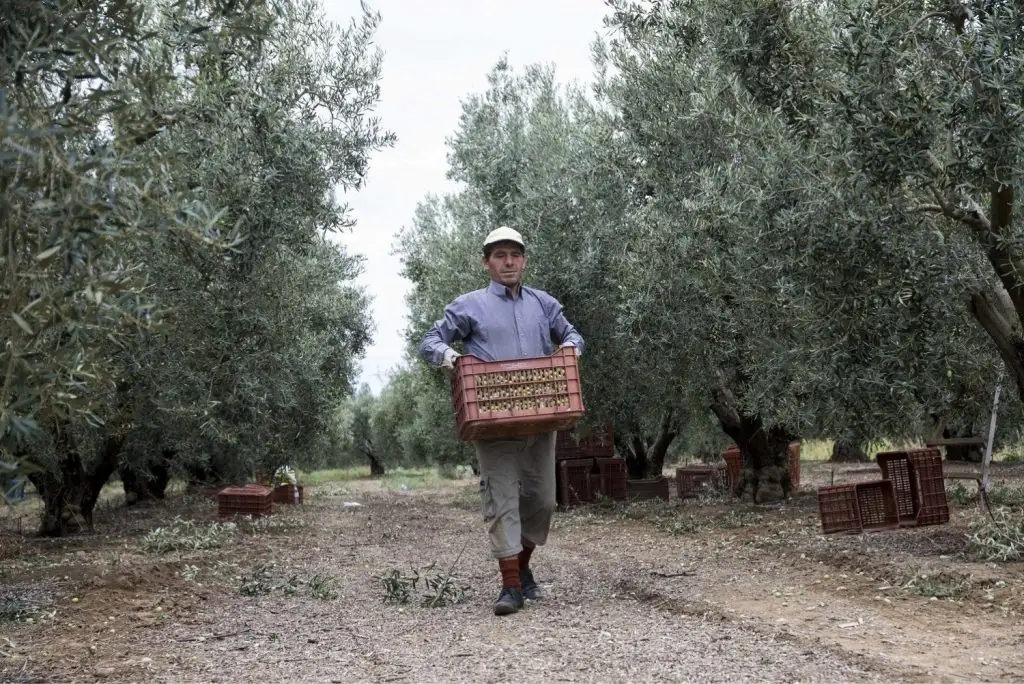 ΟΠΕΚΕΠΕ: Μεγάλη καθυστέρηση στις πληρωμές – Ποιες αναβάλλονται