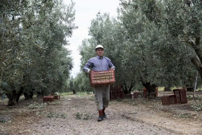 ΟΠΕΚΕΠΕ: Μεγάλη καθυστέρηση στις πληρωμές – Ποιες αναβάλλονται