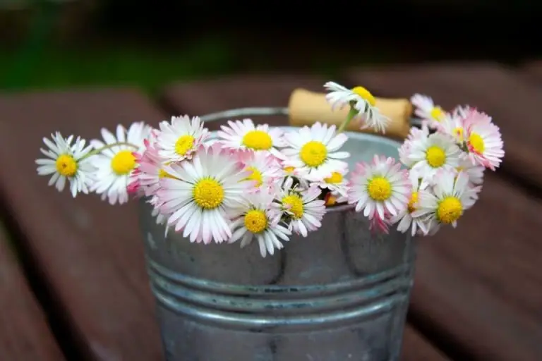 Επίσημο! Μεταφέρθηκε ο εορτασμός της Πρωτομαγιά 2022 – Δείτε πότε