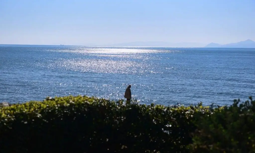 Συναγερμός στις ελληνικές θάλασσες: Δείτε το ψάρι που απειλεί να χαλάσει το καλοκαίρι