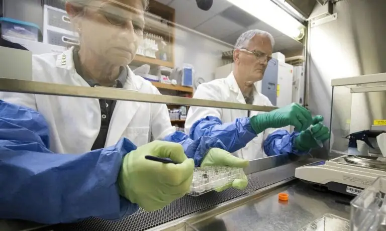 Ευλογιά των Πιθήκων: Ποια τα συμπτώματα του Mpox