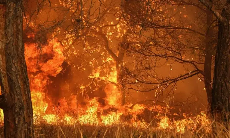 Φωτιά τώρα: Αυτές είναι οι ποινές για τους εμπρηστές – Ατιμωρησία και ελάχιστες διώξεις