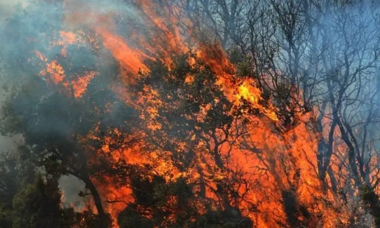 Φωτιά ΤΩΡΑ Αθήνα: Δείτε πού έχει ξεσπάσει πυρκαγιά σήμερα LIVE