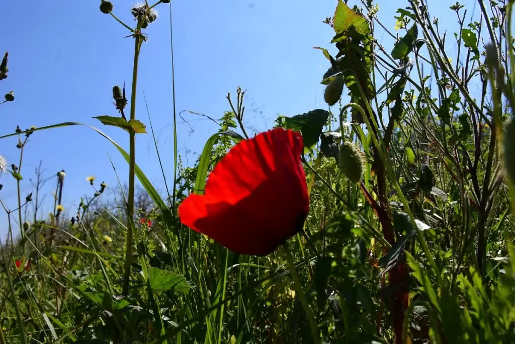 Πρωτομαγιά 2023: Το τελευταίο τριήμερο της χρονιάς – Όλες οι αργίες