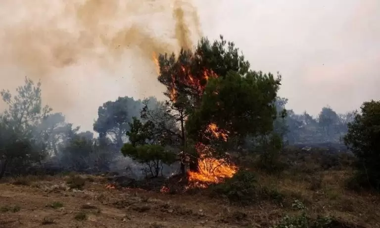 Φωτιά ΤΩΡΑ LIVE: Δείτε ΕΔΩ όλα τα πύρινα μέτωπα στην Ελλάδα