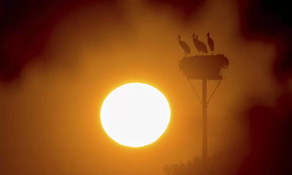 Κακοκαιρία Κλέων: «Φωτιά» σε όλη την Ελλάδα – Ποιες περιοχές θα χτυπήσει τις επόμενες ώρες