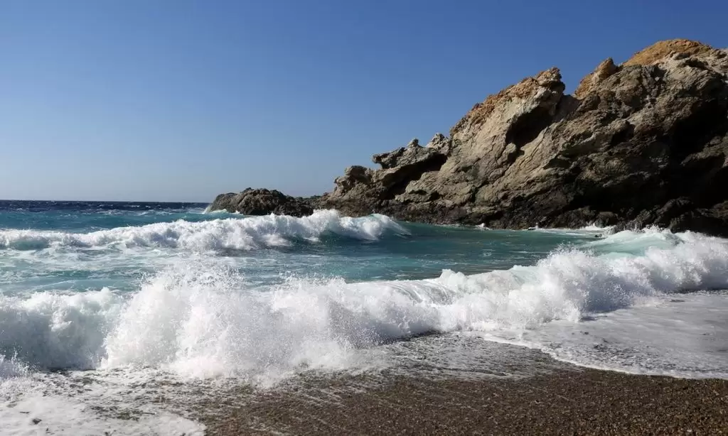 Συναγερμός στις ελληνικές θάλασσες: Δείτε το ψάρι που απειλεί να χαλάσει το καλοκαίρι