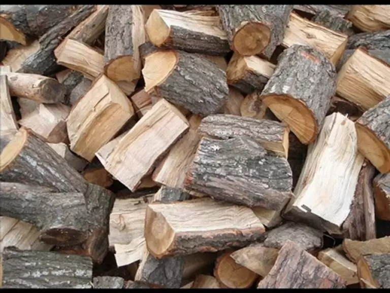 Καυσόξυλα: Πού κυμαίνονται οι τιμές – Πόσο κοστίζει ο τόνος