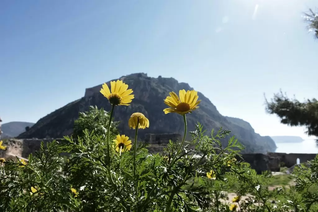 Ανακοινώθηκε η μεταφορά της Πρωτομαγιάς 2024 – Η νέα ημερομηνία