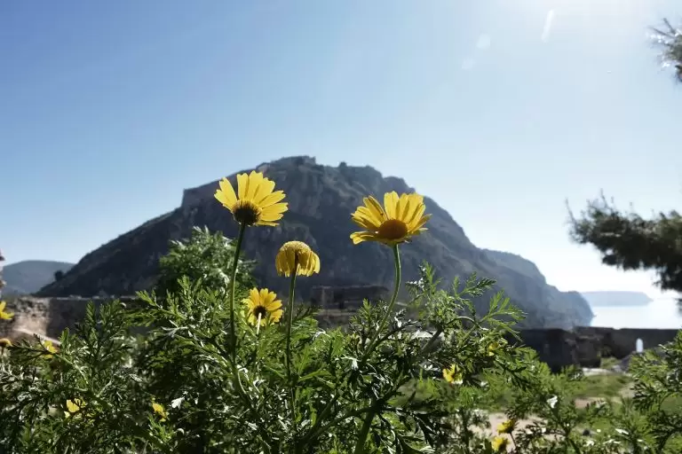 Ανακοινώθηκε η μεταφορά της Πρωτομαγιάς 2024 – Η νέα ημερομηνία