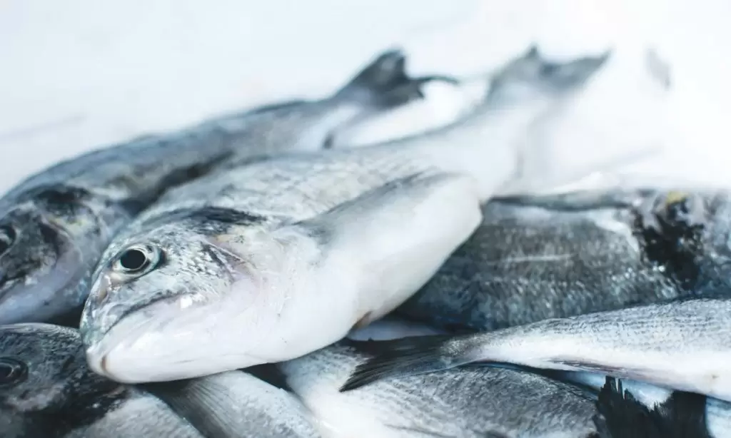 Τρόφιμα: Τα τρία ψάρια που πρέπει να σταματήσετε να τρώτε άμεσα